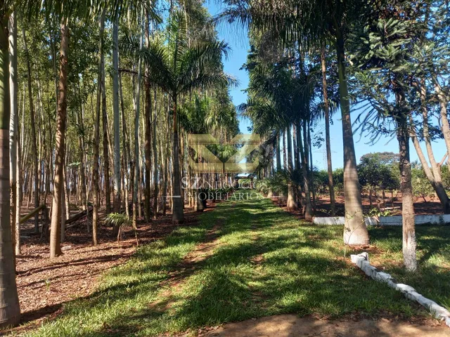Imagem 2: Chácara Á Venda, com 67.966,00M² - Vila Vitorassi, Foz do Iguaçu
