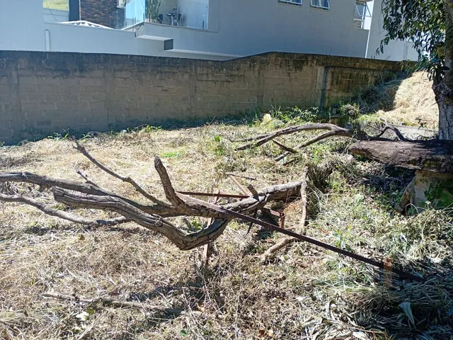 Imagem 8: Terreno à venda em Itajubá-MG, bairro Bela Vista (medicina) com 420m² de área!