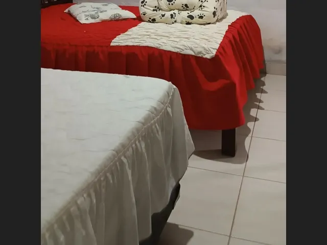 Imagem 15: Vendo Chácara Só 25Km de Goianesia
