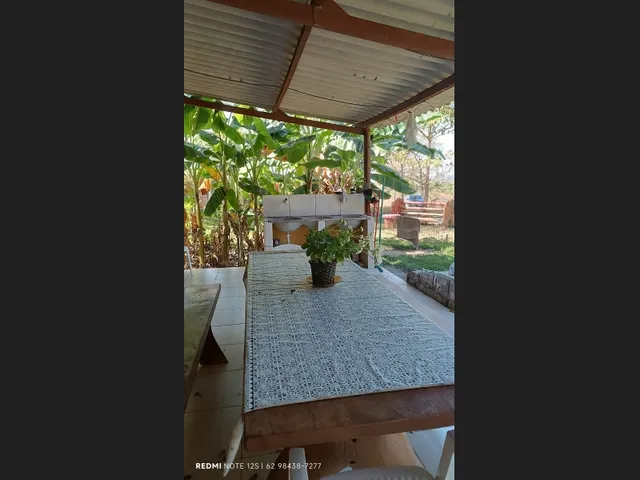 Imagem 16: Vendo Chácara Só 25Km de Goianesia