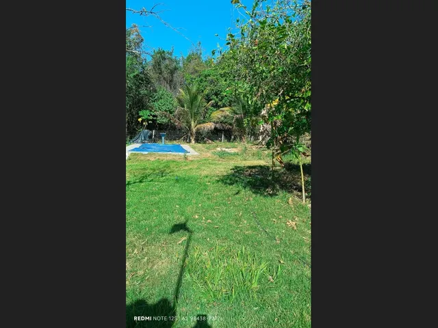 Imagem 10: Vendo Chácara Só 25Km de Goianesia