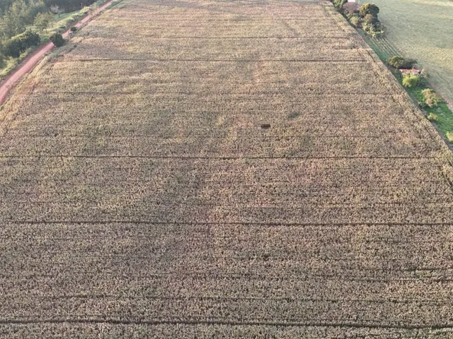 Imagem 10: EXCELENTE SÍTIO A VENDA EM TATUÍ-SP* ?? Formação: Lazer e Agricultura Área