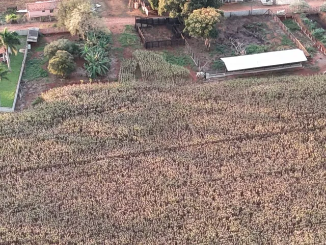 Imagem 13: EXCELENTE SÍTIO A VENDA EM TATUÍ-SP* ?? Formação: Lazer e Agricultura Área