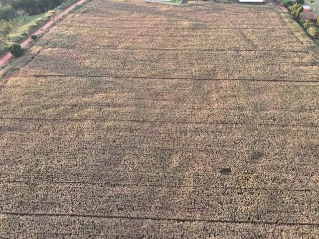 Imagem 16: EXCELENTE SÍTIO A VENDA EM TATUÍ-SP* ?? Formação: Lazer e Agricultura Área