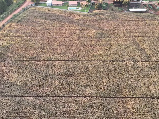 Imagem 2: EXCELENTE SÍTIO A VENDA EM TATUÍ-SP* ?? Formação: Lazer e Agricultura Área
