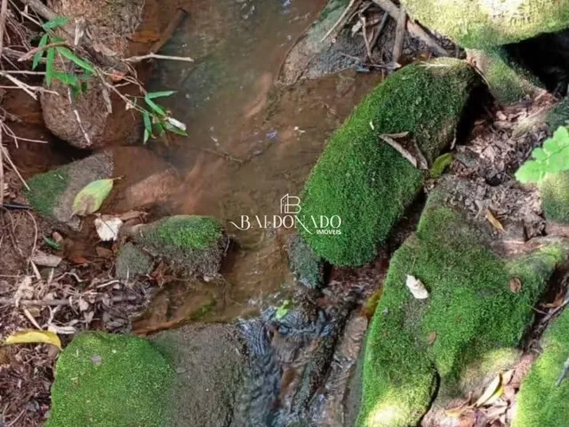 Imagem 14: Chácara de Alto Padrão À Venda Extrema Mg 20.000 Metros 2,5Km Centro