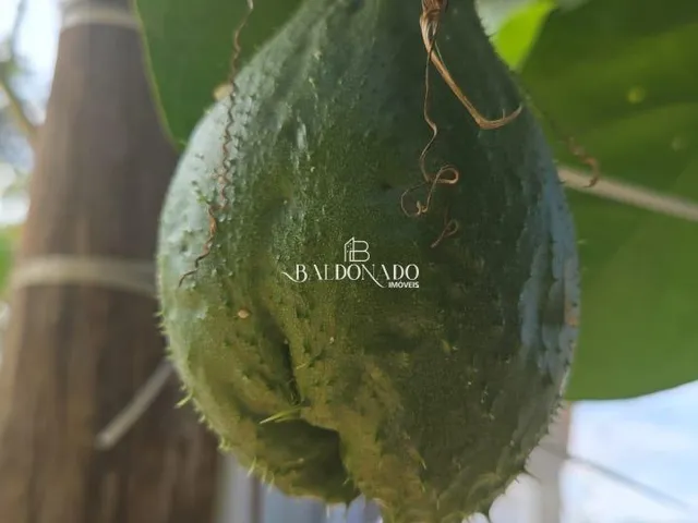 Imagem 10: Chácara de Alto Padrão À Venda Extrema Mg 20.000 Metros 2,5Km Centro