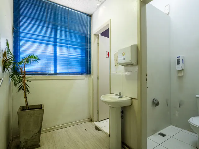 Imagem 11: Galpão Comercial para Venda em Cambuci, 619M²