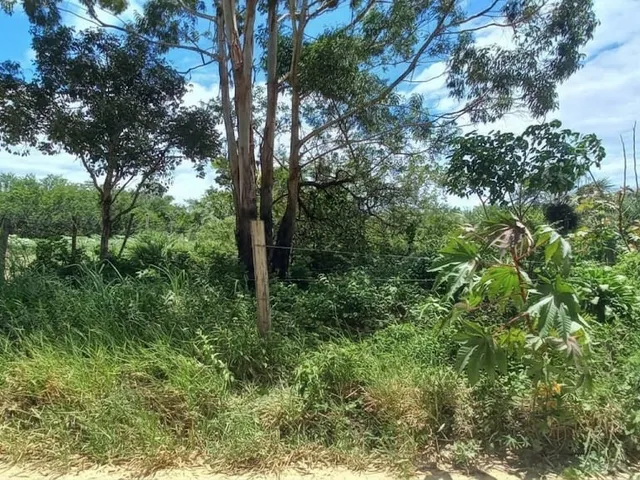 Imagem 2: Venda - Terrenos - - Laguna - Sc
