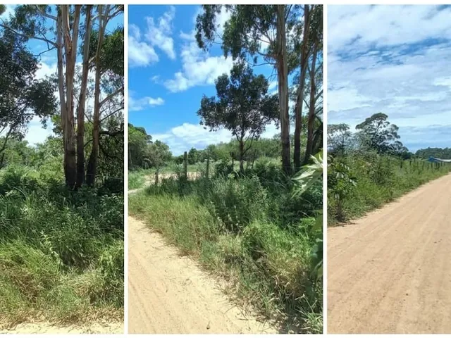 Imagem 3: Venda - Terrenos - - Laguna - Sc