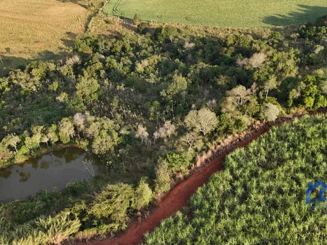 Imagem: Sítio/Fazenda à Venda, 24,55 alqueires
