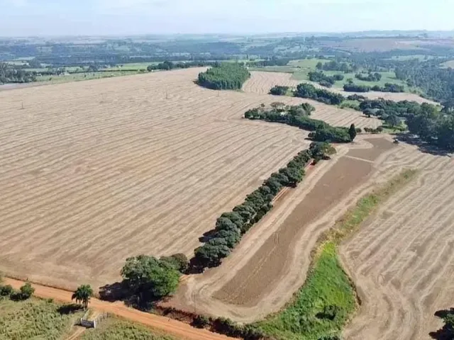 Imagem 4: EXCELENTE SÍTIO A VENDA EM TATUÍ-SP* ?? Formação: Agricultura e Estrutura