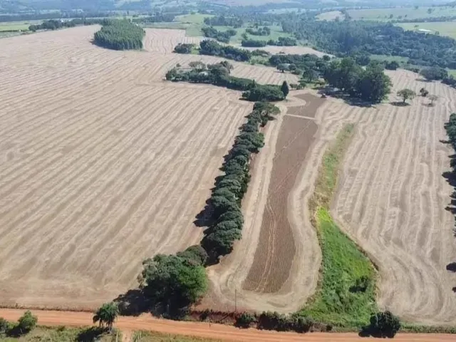 Imagem 3: EXCELENTE SÍTIO A VENDA EM TATUÍ-SP* ?? Formação: Agricultura e Estrutura