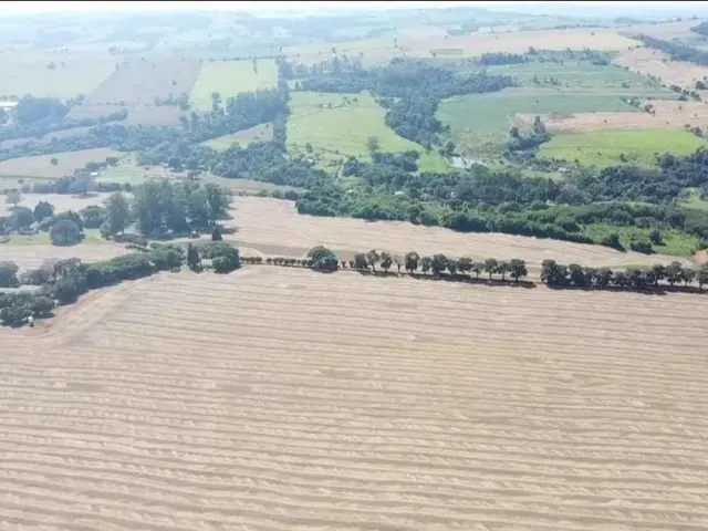 Imagem 6: EXCELENTE SÍTIO A VENDA EM TATUÍ-SP* ?? Formação: Agricultura e Estrutura