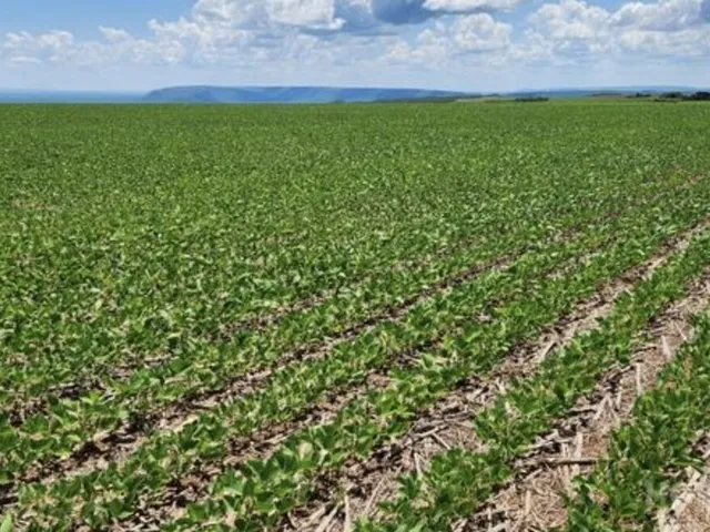 Imagem: Fazenda regiao de Nobres