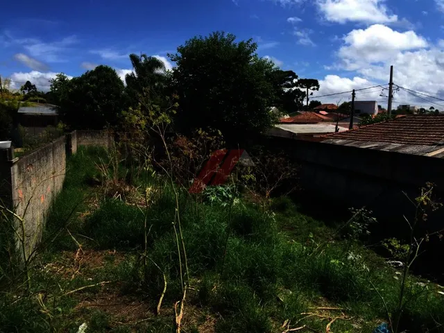 Imagem: P