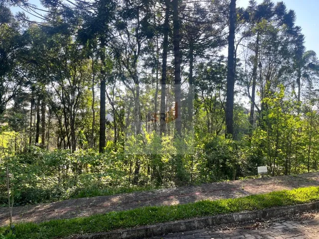 Imagem: Terreno à Venda na Linha Imperial em Nova