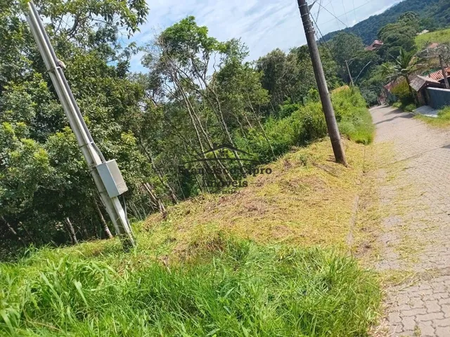 Imagem: Terreno à venda no bairro Centro - Santo