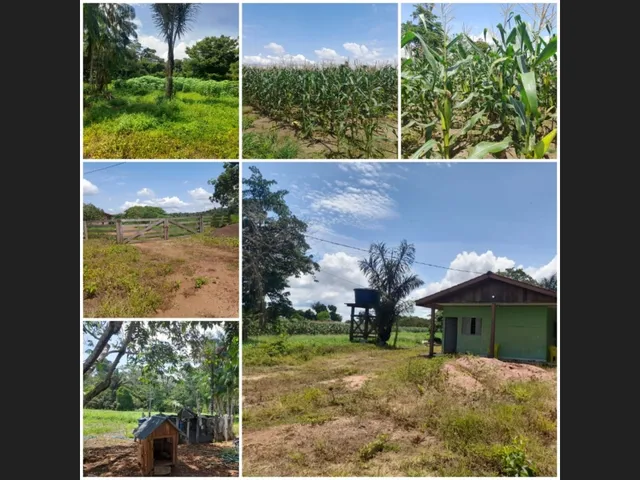 Imagem: Vende-se Sitio no Reassentamento Santa Rita