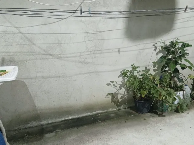 Imagem 2: Casa Duplex em são pedro, Esmeraldas/MG