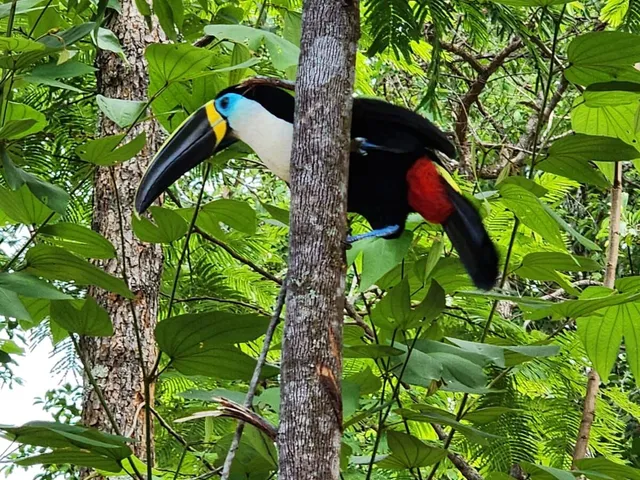 Imagem 12: Chácara À Venda no Bairro Centro - Chapada dos Guimarães/Mt