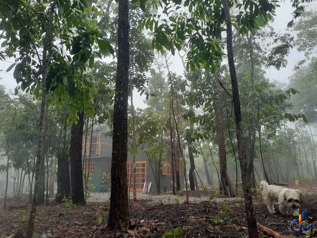 Imagem 3: Chácara À Venda no Bairro Centro - Chapada dos Guimarães/Mt