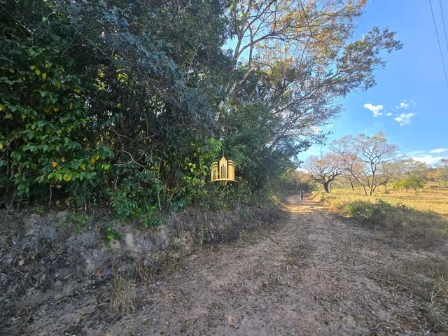 Imagem 14: FAZENDA À VENDA - BAIRRO VARGEM - ESMERALDAS/MG