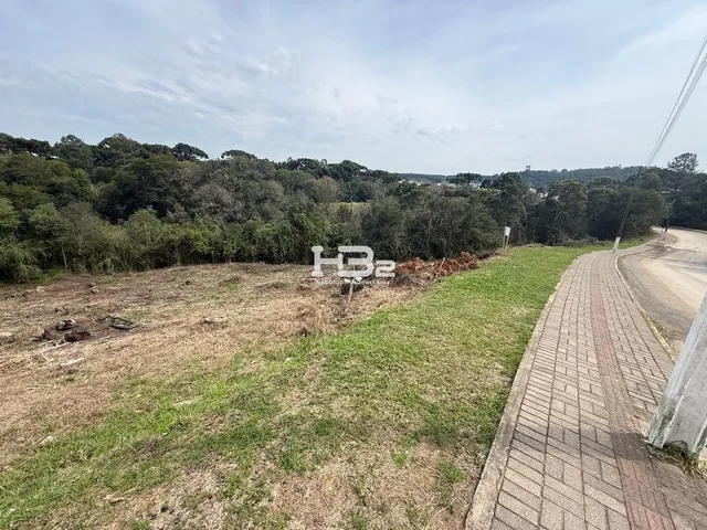 Imagem 3: Terrenos À Venda