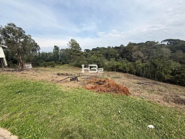 Imagem 8: Terrenos À Venda
