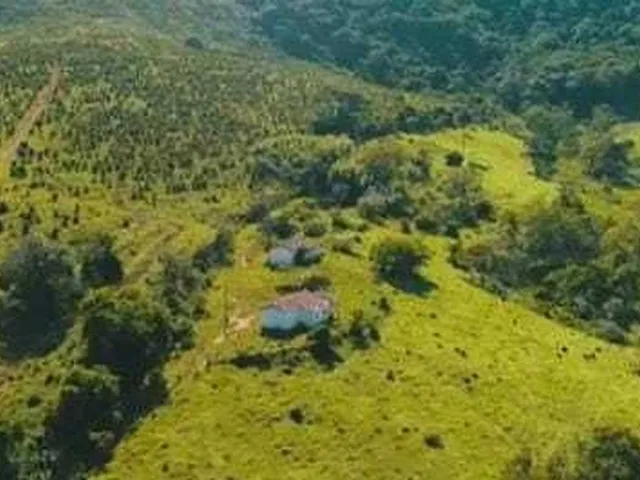 Imagem 5: Fazenda À Venda no Bairro Centro - Poços de Caldas/Mg