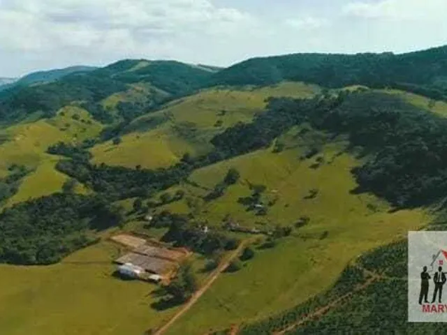 Imagem 6: Fazenda À Venda no Bairro Centro - Poços de Caldas/Mg