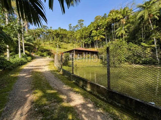 Imagem 8: Sítio À Venda em Timbó com 30.000 M², Lagoas e Nascente