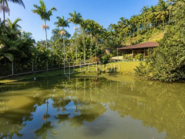 Imagem 12: Sítio À Venda em Timbó com 30.000 M², Lagoas e Nascente