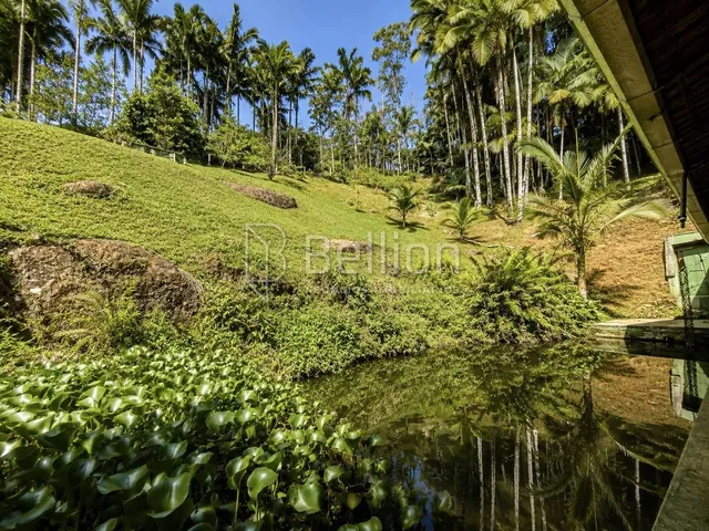 Imagem 16: Sítio À Venda em Timbó com 30.000 M², Lagoas e Nascente