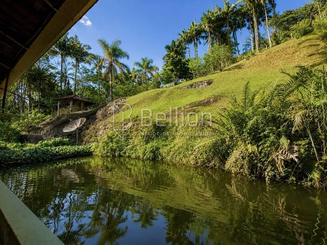 Imagem 7: Sítio À Venda em Timbó com 30.000 M², Lagoas e Nascente