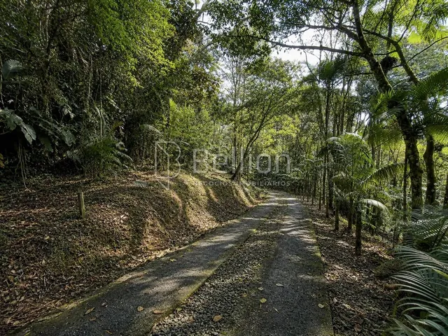 Imagem 3: Sítio À Venda em Timbó com 30.000 M², Lagoas e Nascente