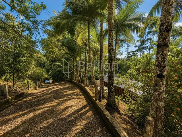Imagem 11: Sítio À Venda em Timbó com 30.000 M², Lagoas e Nascente