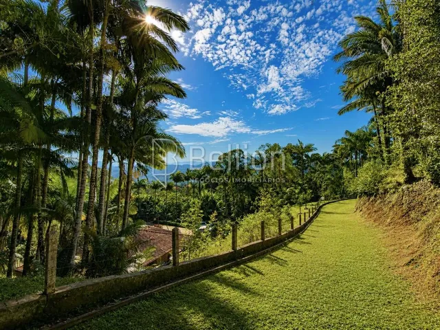 Imagem 6: Sítio À Venda em Timbó com 30.000 M², Lagoas e Nascente