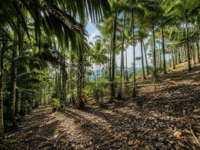 Imagem 4: Sítio À Venda em Timbó com 30.000 M², Lagoas e Nascente