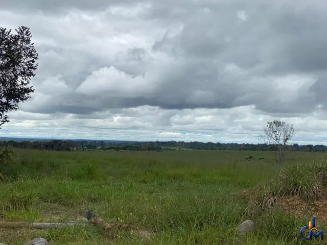 Imagem 3: Fazenda Modelo Sena Madureira