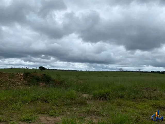 Imagem 2: Fazenda Modelo Sena Madureira