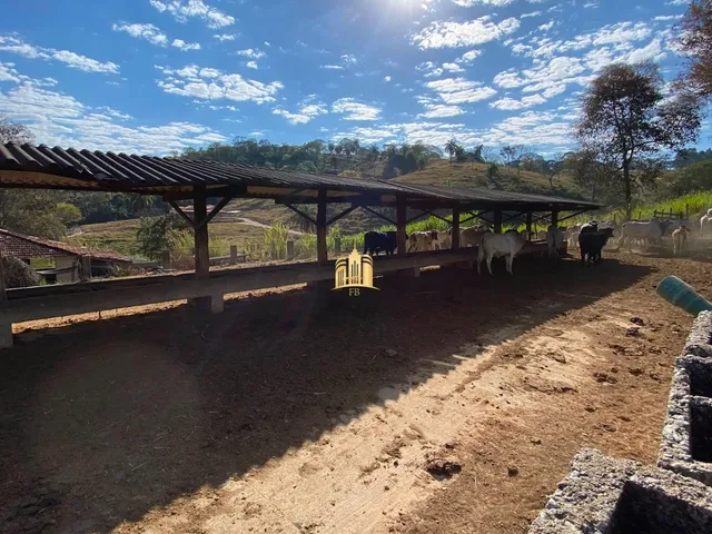 Imagem 12: FAZENDA 68 HECTARES - FLORESTAL/MG