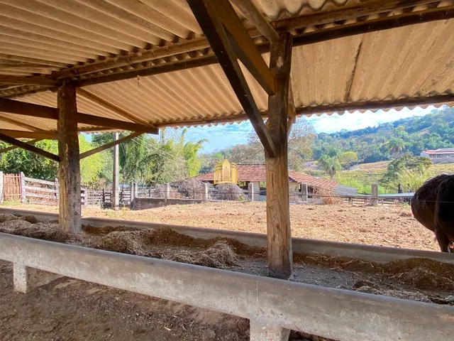 Imagem 5: FAZENDA 68 HECTARES - FLORESTAL/MG
