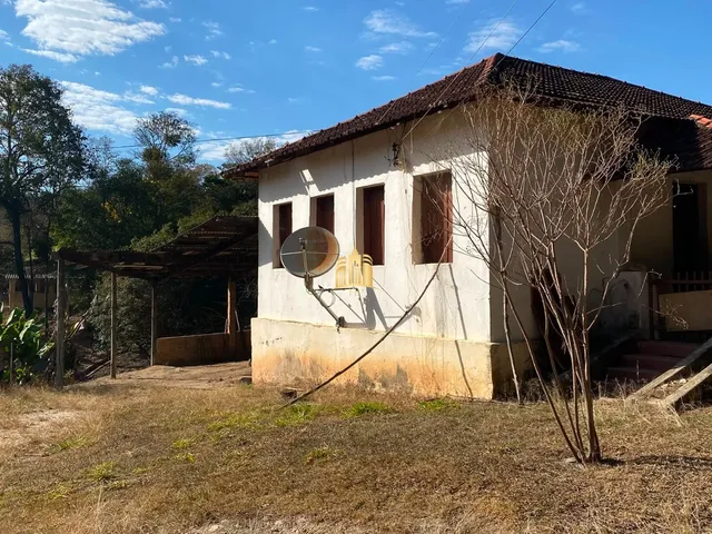 Imagem 13: FAZENDA 68 HECTARES - FLORESTAL/MG
