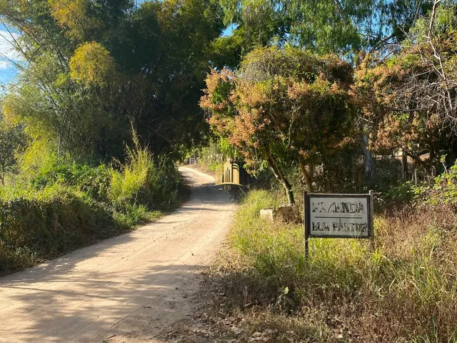 Imagem 15: FAZENDA 68 HECTARES - FLORESTAL/MG
