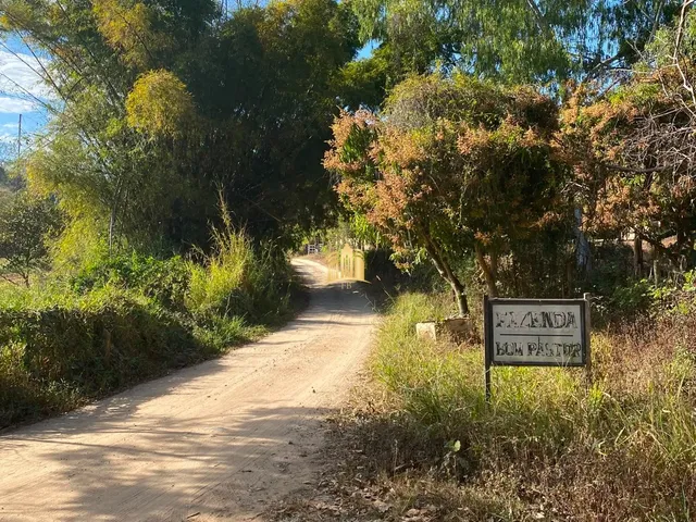 Imagem 11: FAZENDA 68 HECTARES - FLORESTAL/MG