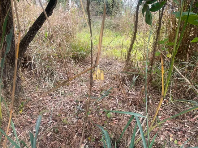 Imagem 12: TERRENO A VENDA BAIRRO DUMAVILLE EM ESMERALDAS/MG