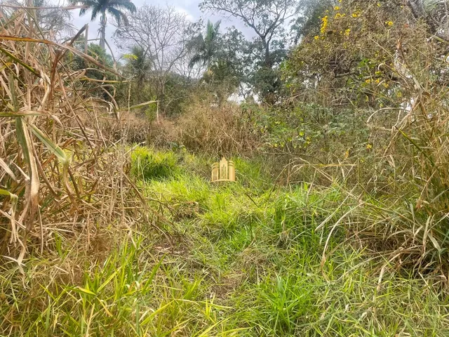 Imagem 11: TERRENO A VENDA BAIRRO DUMAVILLE EM ESMERALDAS/MG