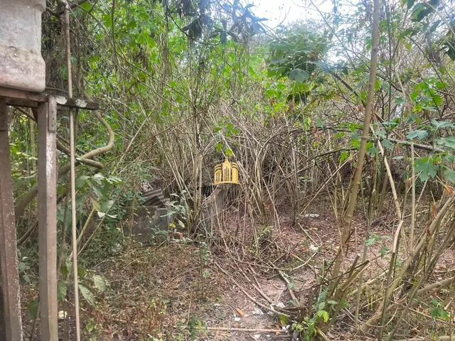 Imagem 8: TERRENO A VENDA BAIRRO DUMAVILLE EM ESMERALDAS/MG