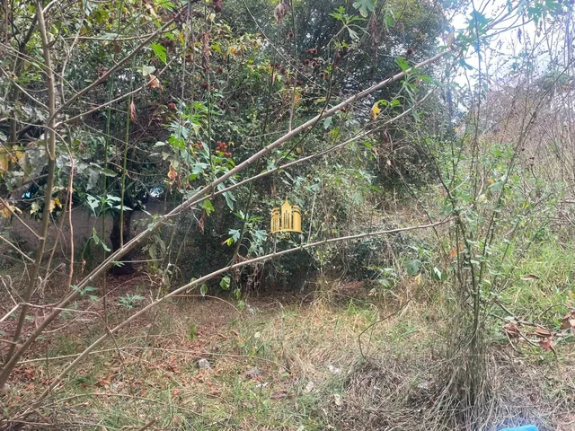 Imagem 6: TERRENO A VENDA BAIRRO DUMAVILLE EM ESMERALDAS/MG